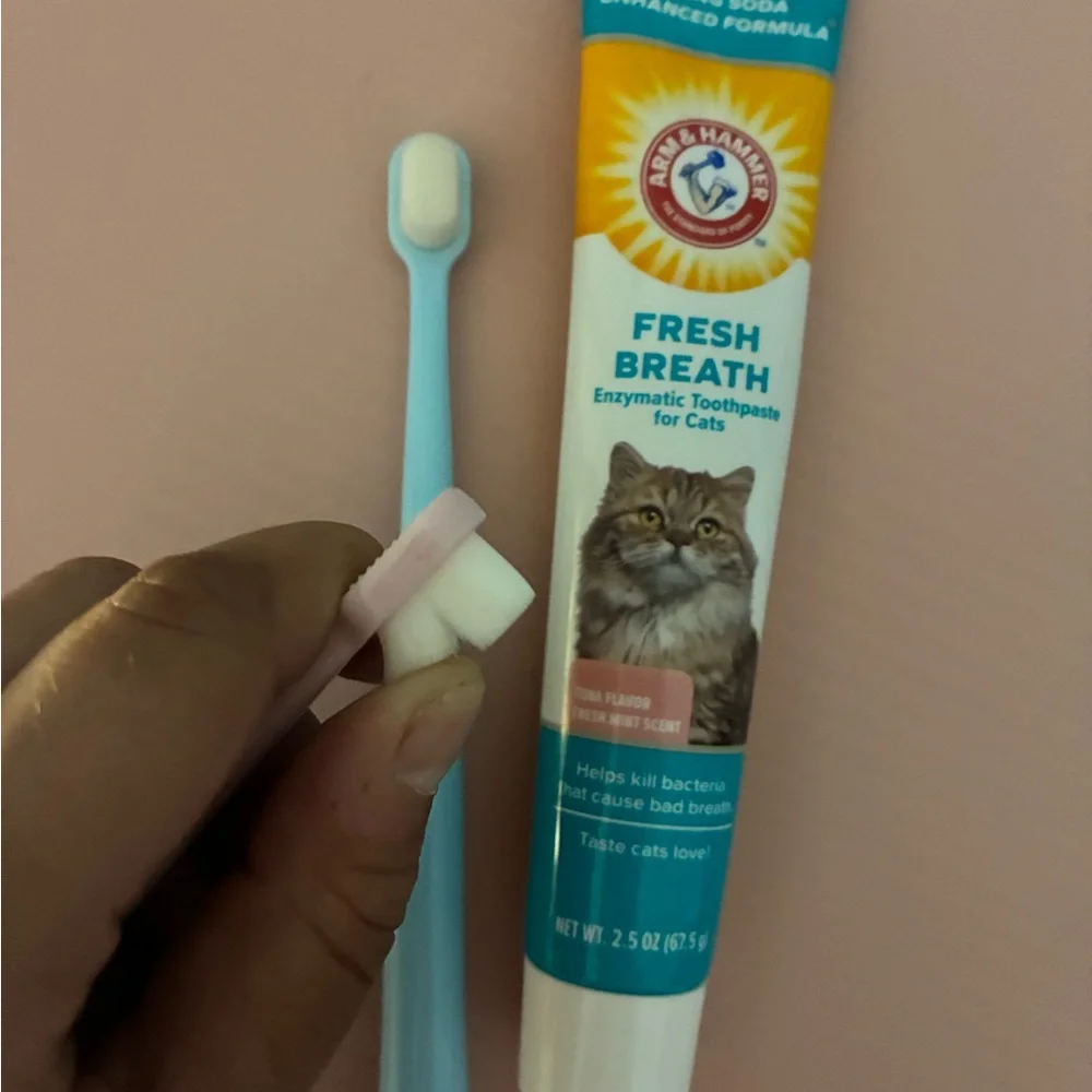 Arm & Hammer Fresh Breath Cat Toothpaste and Toothbrush Set - Pink and Blue